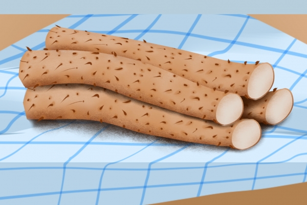 肺部感染可以吃山藥嗎-易網<a href=http://www.jsjjzhkt.cn/ target=_blank class=infotextkey>健康養生</a>網 肺部感染可以吃山藥嗎