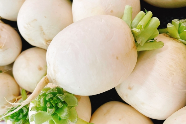 白蘿卜止咳化痰的做法-易網<a href=http://www.jsjjzhkt.cn/ target=_blank class=infotextkey>健康養生</a>網 白蘿卜止咳化痰的做法