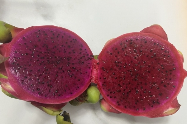 火龍果的功效與作用、禁忌和食用方法-易網(wǎng)健康<a href=http://www.jsjjzhkt.cn/jkys/ target=_blank class=infotextkey>養(yǎng)生</a>網(wǎng) 火龍果的功效與作用、禁忌和食用方法