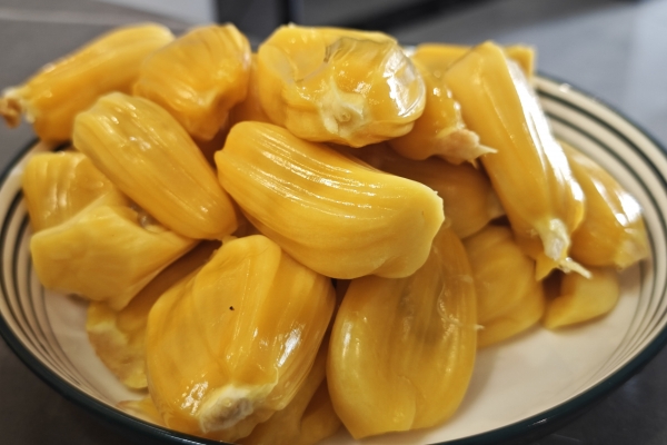 菠蘿蜜核的功效與作用、禁忌和食用方法-易網健康<a href=http://www.jsjjzhkt.cn/jkys/ target=_blank class=infotextkey>養生</a>網 菠蘿蜜核的功效與作用、禁忌和食用方法