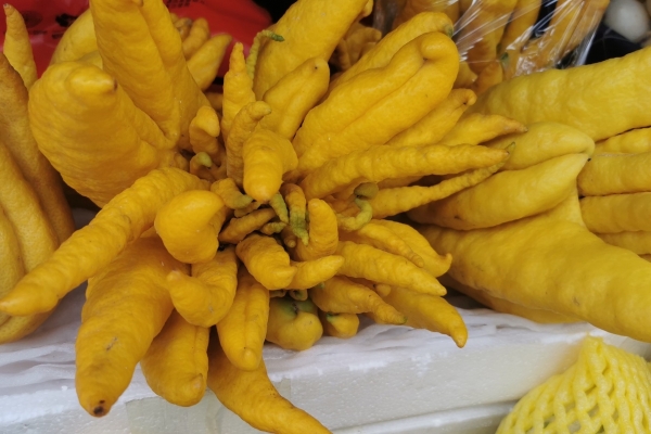 孕婦可以吃佛手嗎-易網(wǎng)<a href=http://www.jsjjzhkt.cn/ target=_blank class=infotextkey>健康養(yǎng)生</a>網(wǎng) 孕婦可以吃佛手嗎