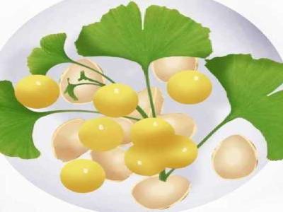 白果的功效與作用、禁忌和食用方法