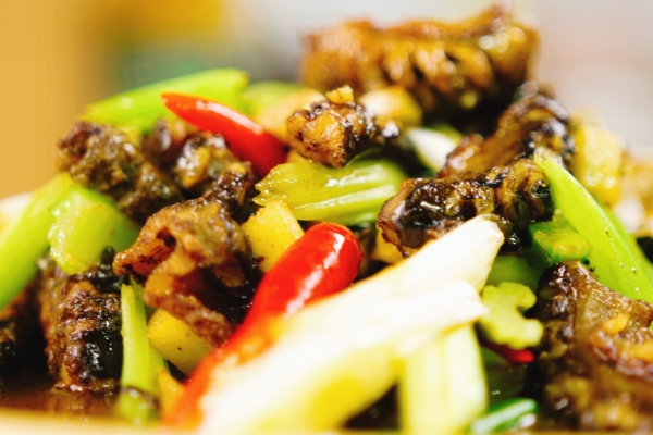 痛風能不能吃黃鱔