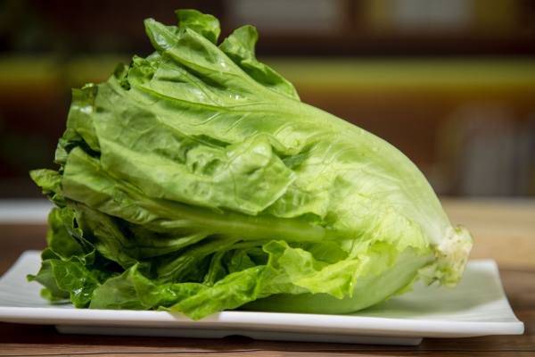 圓生菜的功效與作用、禁忌和食用方法-易網(wǎng)<a href=http://www.jsjjzhkt.cn/ target=_blank class=infotextkey>健康養(yǎng)生</a>網(wǎng) 圓生菜的功效與作用、禁忌和食用方法