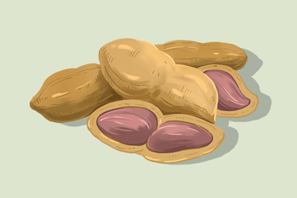 黑花生的功效與作用、禁忌和食用方法