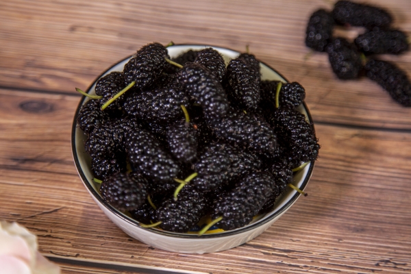 桑葚泡水喝的功效與作用、禁忌和食用方法-易網(wǎng)<a href=http://www.jsjjzhkt.cn/ target=_blank class=infotextkey>健康養(yǎng)生</a>網(wǎng) 桑葚泡水喝的功效與作用、禁忌和食用方法