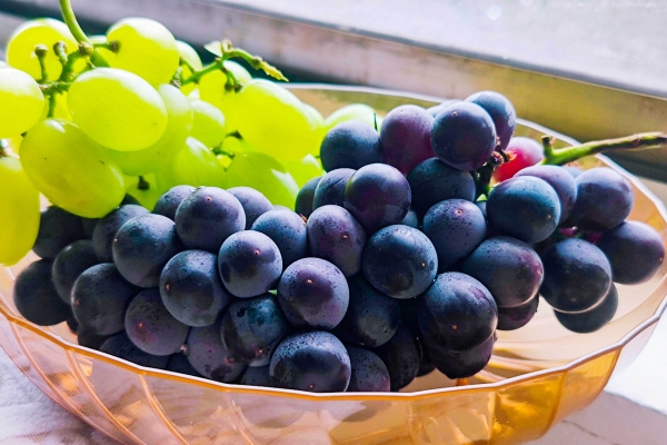 葡萄籽的功效與作用、禁忌和食用方法