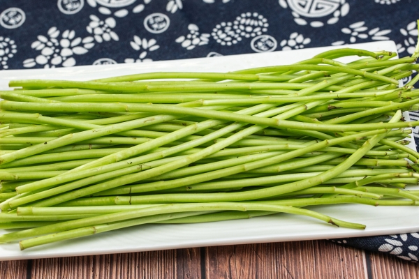 藜蒿的功效與作用、禁忌和食用方法-易網<a href=http://www.jsjjzhkt.cn/ target=_blank class=infotextkey>健康養生</a>網 藜蒿的功效與作用、禁忌和食用方法