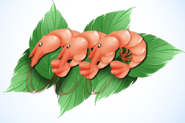 痛風(fēng)可以吃淡水蝦嗎-易網(wǎng)健康<a href=http://www.jsjjzhkt.cn/jkys/ target=_blank class=infotextkey>養(yǎng)生</a>網(wǎng) 痛風(fēng)可以吃淡水蝦嗎