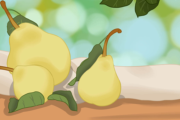 香梨的功效與作用、禁忌和食用方法-易網(wǎng)健康養(yǎng)生網(wǎng) 香梨的功效與作用、禁忌和食用方法