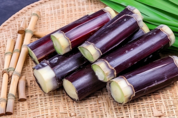 甘蔗吃多了會不會上火-易網健康<a href=http://www.jsjjzhkt.cn/jkys/ target=_blank class=infotextkey>養生</a>網 甘蔗吃多了會不會上火