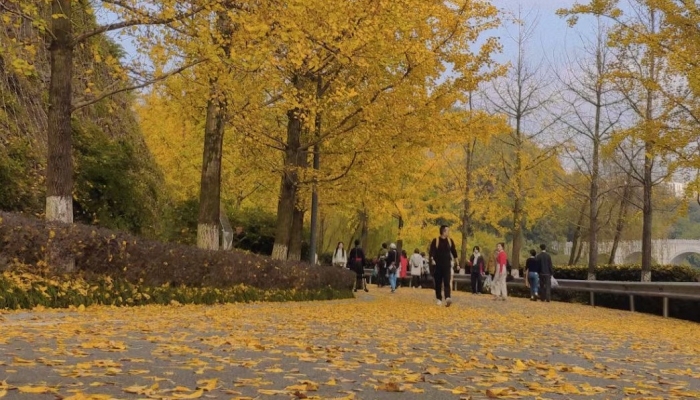 白露節氣物候有哪些特點 白露節氣的物候特點-易網健康<a href=http://www.jsjjzhkt.cn/jkys/ target=_blank class=infotextkey>養生</a>網 白露節氣物候有哪些特點 白露節氣的物候特點