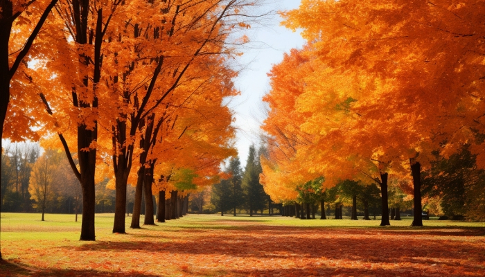 白露節氣晝夜溫差特點是啥 白露晝夜溫差的影響-易網健康<a href=http://www.jsjjzhkt.cn/jkys/ target=_blank class=infotextkey>養生</a>網 白露節氣晝夜溫差特點是啥 白露晝夜溫差的影響