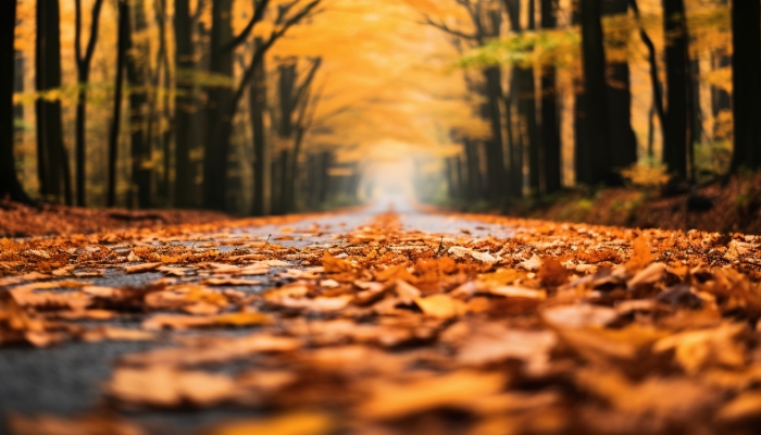 白露節氣晝夜溫差特點是啥 白露晝夜溫差的影響-易網<a href=http://www.jsjjzhkt.cn/ target=_blank class=infotextkey>健康養生</a>網 白露節氣晝夜溫差特點是啥 白露晝夜溫差的影響