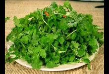 經(jīng)常吃的護(hù)腎6種食物