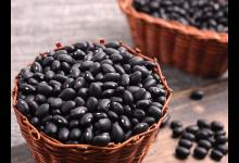 什么原因?qū)е履I陽(yáng)虛呢