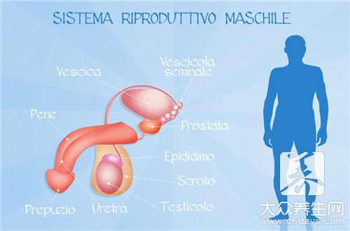什么叫體外受精 什么叫體外受精