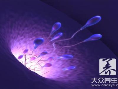 精子和卵子結合肚子會疼嗎？