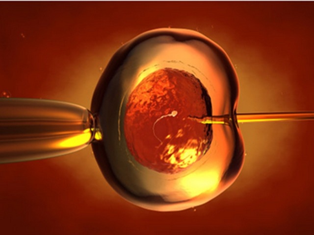 體外受精的精子在體外能存活多久 體外受精的精子在體外能存活多久