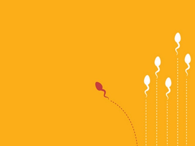 老公不行？精子質量標準用什么來衡量