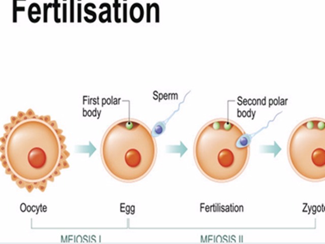 精子好吃 男人的精子女人可以吃嗎 精子好吃 男人的精子女人可以吃嗎