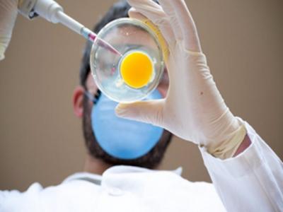 老公太軟 精子活力降低的原因是什么