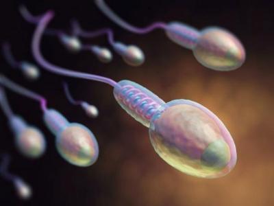 女性對精液過敏怎么辦?精液過敏的特殊行房懷孕方式