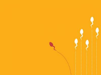 老公不行？精子質量標準用什么來衡量