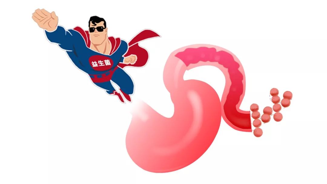 女性補充益生菌雖好,但不要進入誤區-易網健康養生網 女性補充益生菌雖好,但不要進入誤區