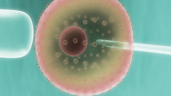 女性卵泡發育不良怎么辦 應對卵泡異常的4個方法