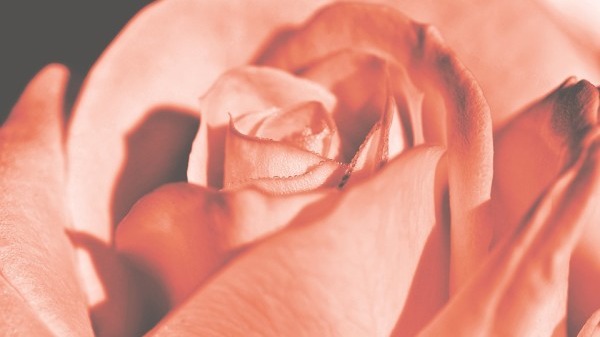 直男必看!實用的表白情話干貨分享-易網健康<a href=http://www.jsjjzhkt.cn/jkys/ target=_blank class=infotextkey>養生</a>網 直男必看!實用的表白情話干貨分享