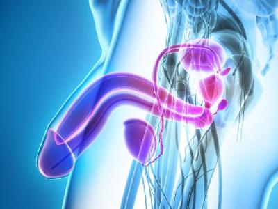 日常要如何預(yù)防陰虱? 日常注意四點(diǎn)有效避免感染陰虱