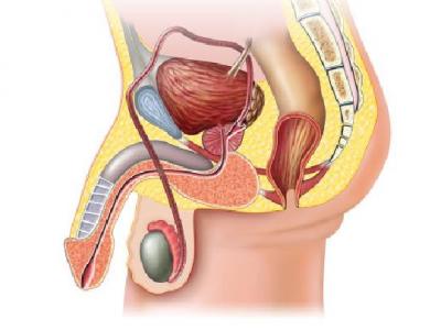 男性遺精早泄按哪個穴位 男性遺精早泄者可以按摩4個穴位