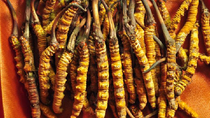 男性吃冬蟲夏草可以壯陽嗎 冬蟲夏草該怎么吃壯陽效果最佳-易網健康<a href=http://www.jsjjzhkt.cn/jkys/ target=_blank class=infotextkey>養生</a>網 男性吃冬蟲夏草可以壯陽嗎 冬蟲夏草該怎么吃壯陽效果最佳