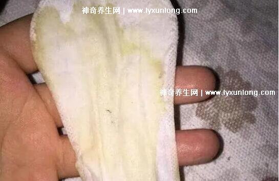 真實宮頸癌的早期出血圖片，接觸性出血是最明顯癥狀(女性必看)