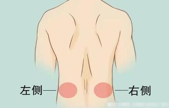 女性后背疼警惕四種病,腰部周圍痛小心婦科病(疼痛位置圖解)-易網健康養生網 女性后背疼警惕四種病,腰部周圍痛小心婦科病(疼痛位置圖解)