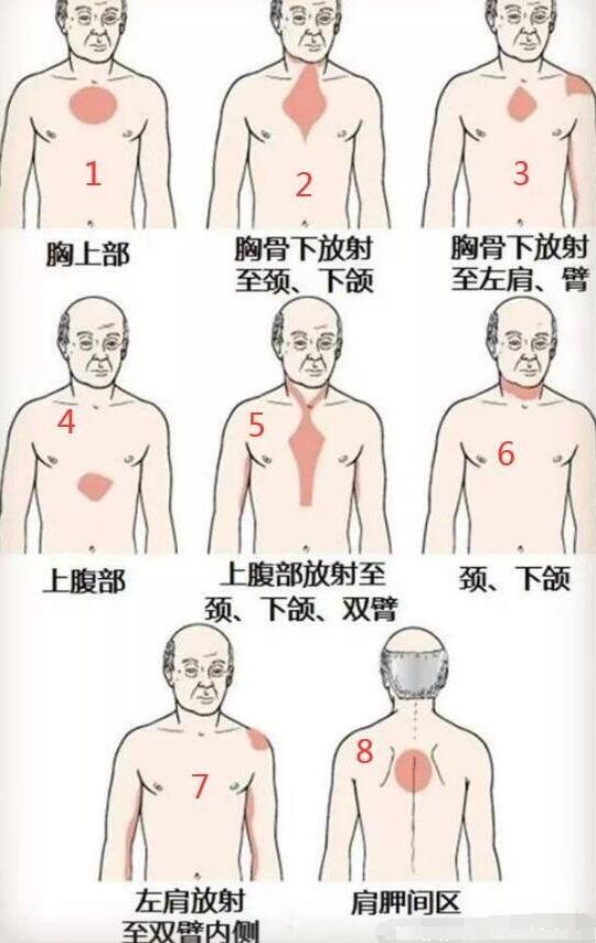 女性后背疼警惕四種病,腰部周圍痛小心婦科病(疼痛位置圖解)-易網<a href=http://www.jsjjzhkt.cn/ target=_blank class=infotextkey>健康養生</a>網 女性后背疼警惕四種病,腰部周圍痛小心婦科病(疼痛位置圖解)