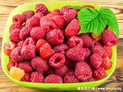 覆盆子越吃越大怎么回事，有補腎壯陽的功效(附3種壯陽吃法)