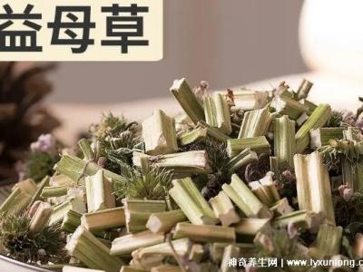 一天三袋益母草加速月經(jīng)，催姨媽神器(益母草顆粒)