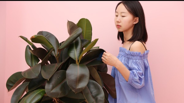 陰毛在性愛中的作用,成熟女性的陰毛特點-易網<a href=http://www.jsjjzhkt.cn/ target=_blank class=infotextkey>健康養生</a>網 陰毛在性愛中的作用,成熟女性的陰毛特點