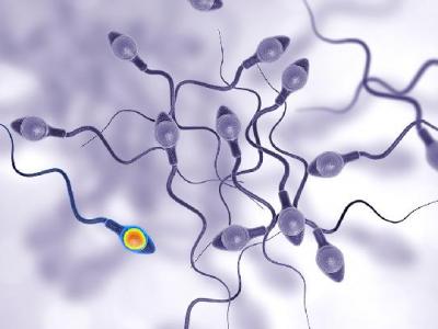 精子畸形率高怎么辦