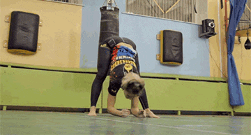 防止跑步肌肉腿！9個動作3分鐘跑完拉伸塑形美腿