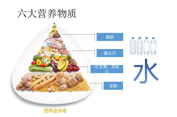 劉亦菲發(fā)福胖后依舊飲食不忌，怎樣吃才能保持好身材呢