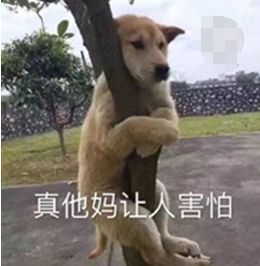 最新奇健身方式讓你1秒變高手，網友稱原來健身器材還可以這么用