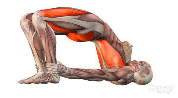 每天一式學瑜伽：橋式！改善月經不適