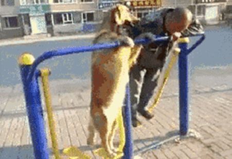 那些被嫌棄的小區健身器材，為何成了外國小哥眼中竟是寶貝？