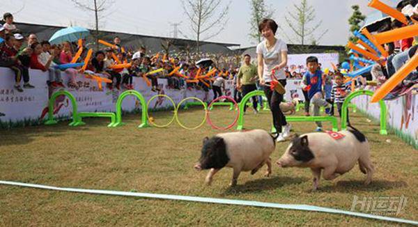 我們竟然跟它的生活方式驚人相似！所以身材相似也不足為奇