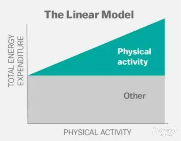 是的，大部分超級減肥王都復胖了