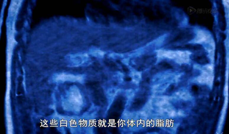 《鍛煉的真相》BBC紀(jì)錄片顛覆你的認(rèn)知