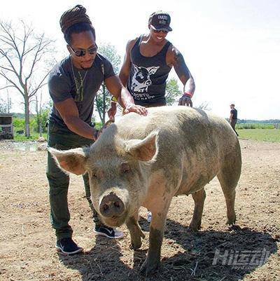 素食主義者到底可以練到什么程度！20年素可不是白吃的